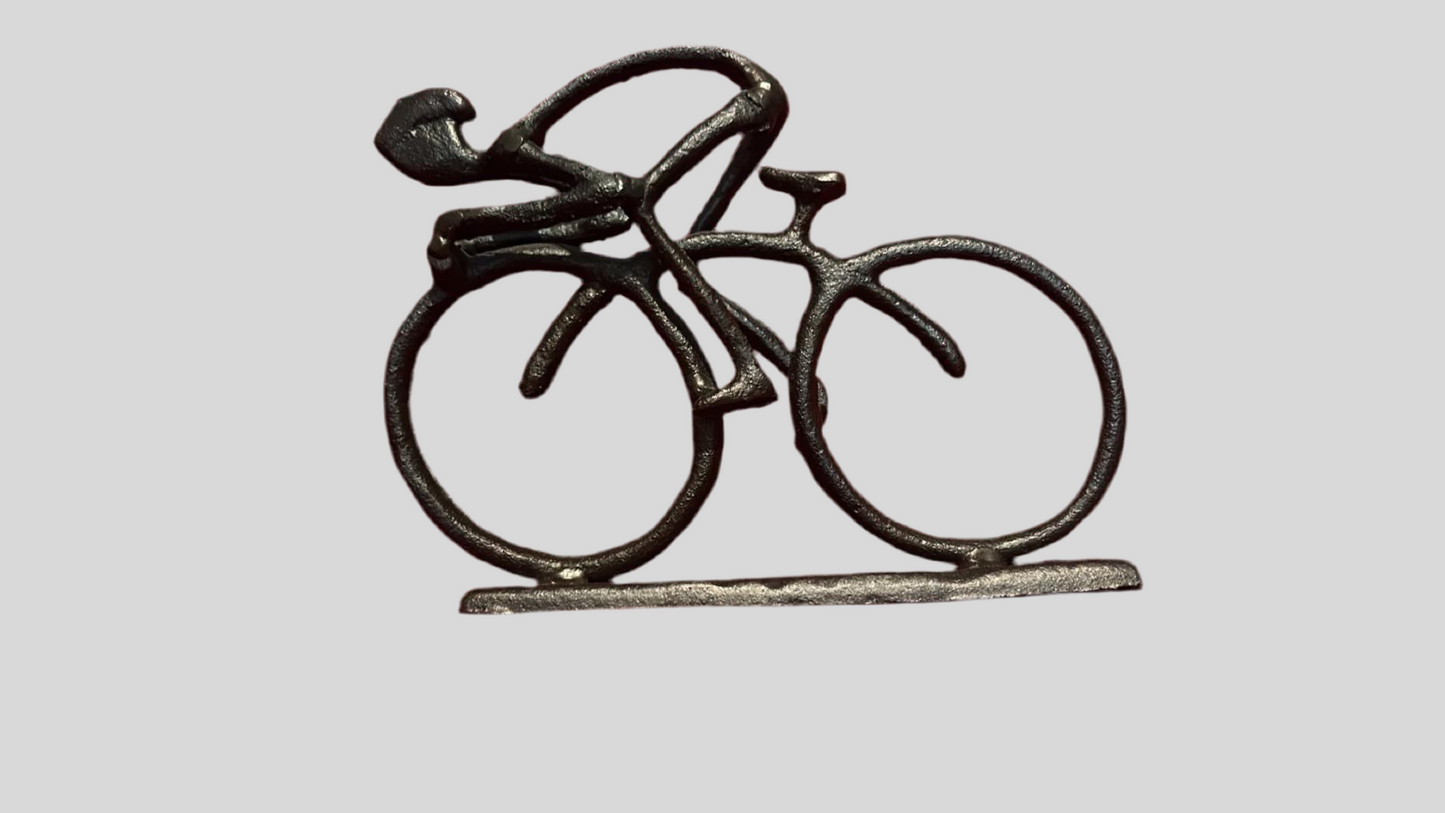 Home Decor (bicycle metal)