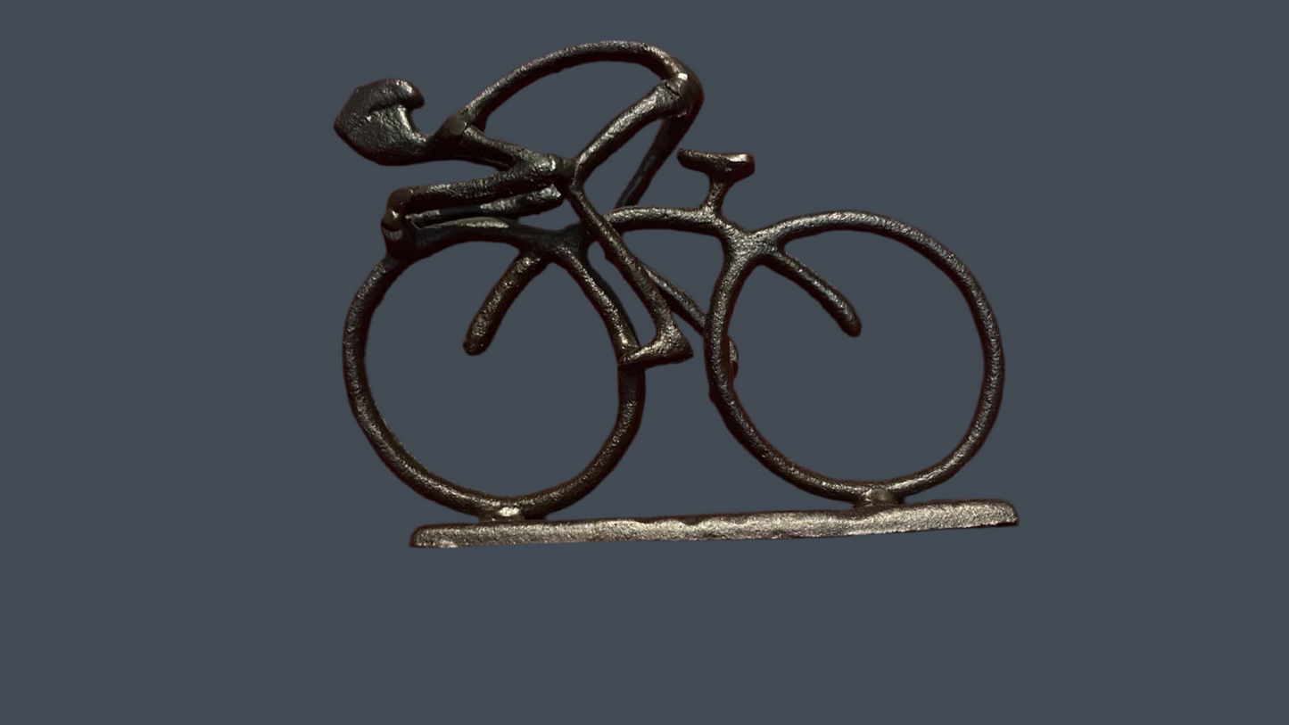 Home Decor (bicycle metal)