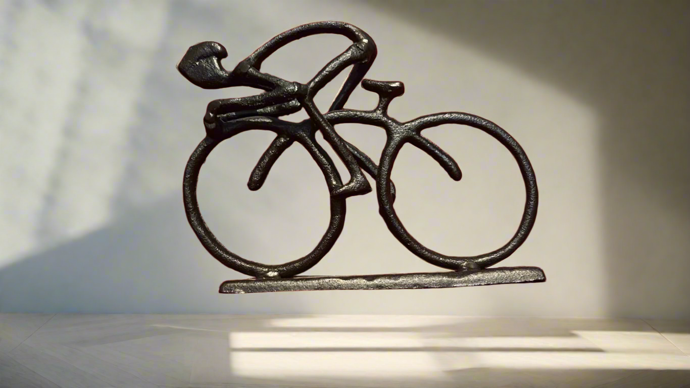 Home Decor (bicycle metal)