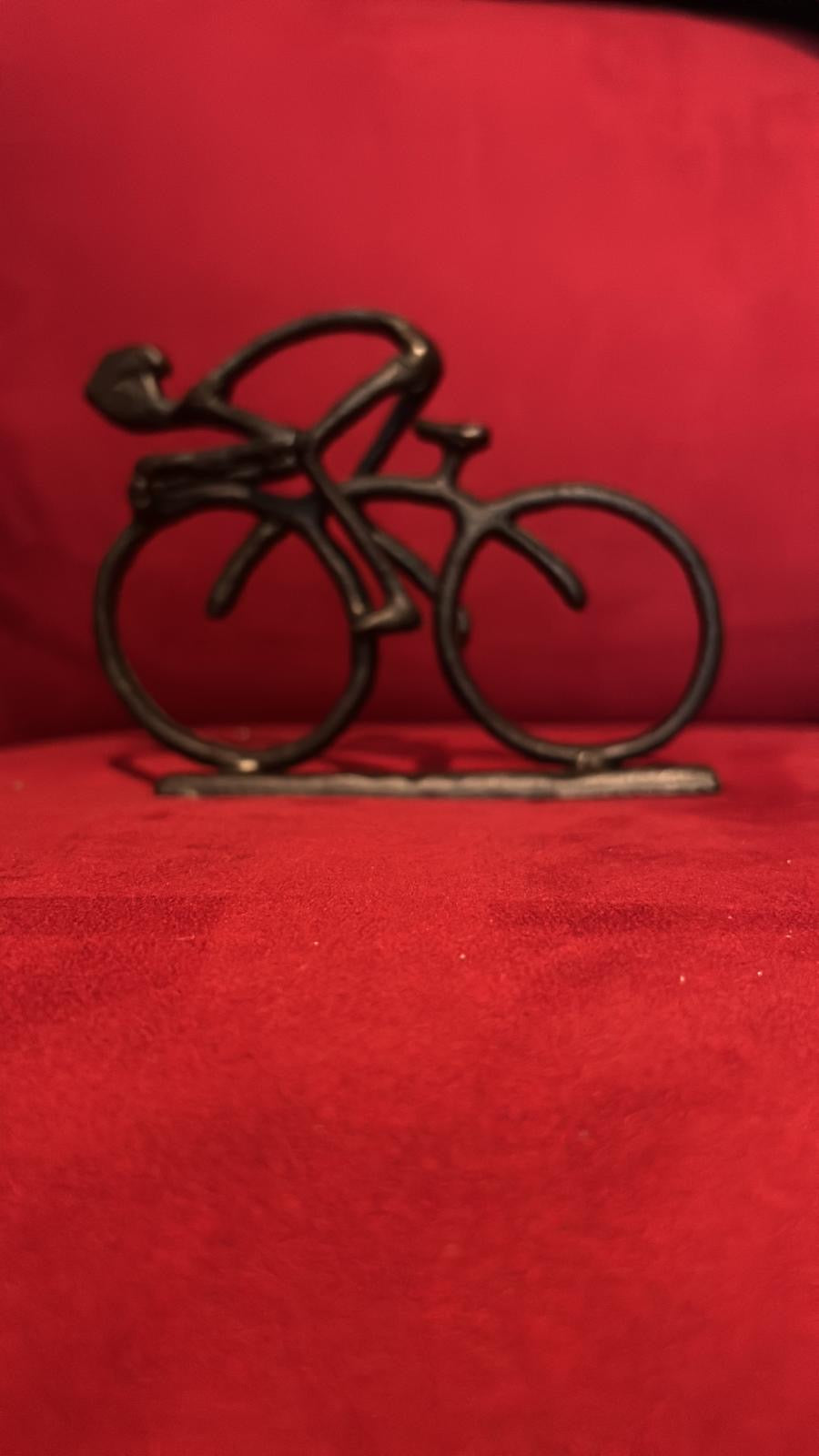 Home Decor (bicycle metal)