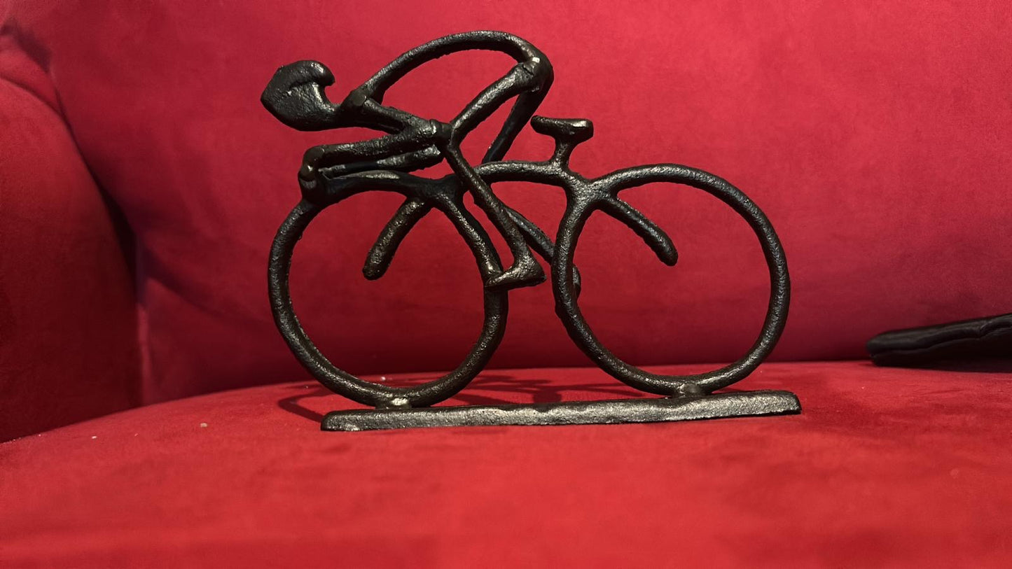 Home Decor (bicycle metal)